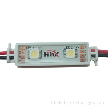 2 LED module (PVC housing)
